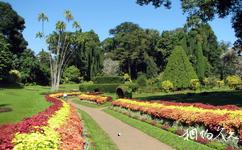 斯里兰卡康提市旅游攻略之佩拉德尼亚植物园