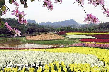 宜賓蜀南花海照片