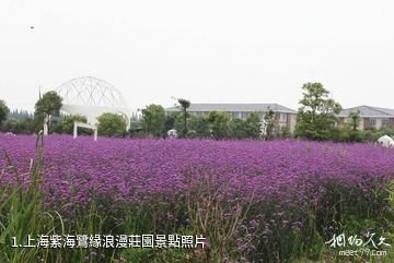 上海紫海鷺緣浪漫莊園照片