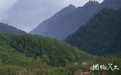 漢中市南湖旅遊攻略之鴛鴦山
