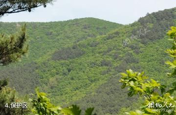 吉林天佛指山国家级自然保护区-保护区照片