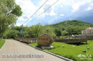 雙鴨山林業局青山國家森林公園-鴨嘴石休閑度假區照片