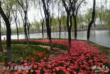欒城櫻花公園-人工湖照片