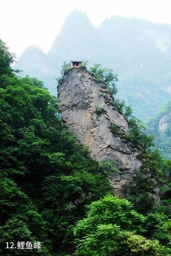 陕西黑河国家森林公园-鲤鱼峰照片