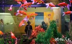 北京國家動物博物館旅遊攻略之無脊椎動物展廳