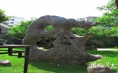 广州十香园旅游攻略之巨石盆景