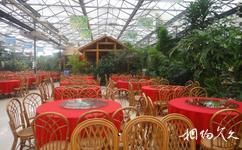 安徽禾泉农庄旅游攻略之生态餐厅