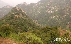 泰安徂徕山国家森林公园旅游攻略之鸡冠峰