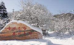 宝鸡太白青峰峡森林公园旅游攻略之雪景