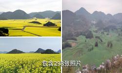 罗平油菜花海驴友相册