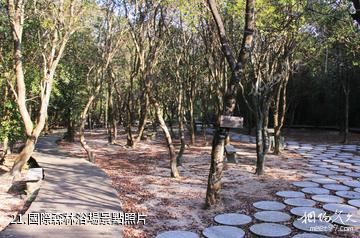 廣州從化石門國家森林公園-國際森林浴場照片