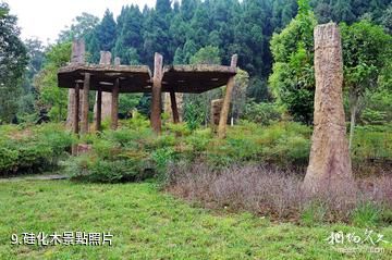 遂寧中華侏羅紀公園-硅化木照片