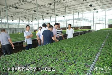 遵义湄潭茶海生态园-湄潭县现代高效茶业示范园区照片
