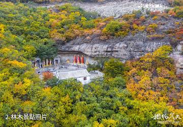 朝陽千佛洞風景區-林木照片