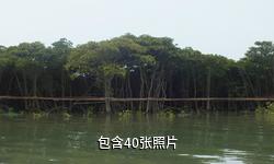 东寨港红树林保护区驴友相册