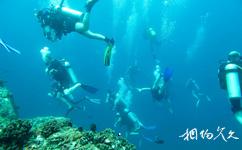 泰國斯米蘭群島旅遊攻略之潛水