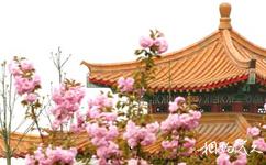 洛陽市中國國花園旅遊攻略之飛燕紅妝廣場