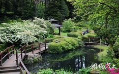 爱尔兰宝尔势格庄园旅游攻略之日式花园