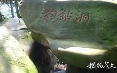 重庆圣灯山森林公园旅游攻略之狗钻洞