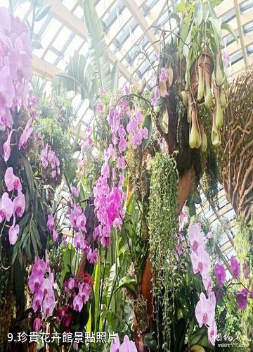 太原植物園-珍貴花卉館照片