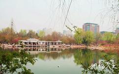 北京玉淵潭公園旅遊攻略之鸝櫻苑