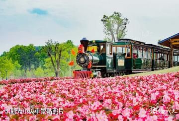 武漢黃陂木蘭花鄉景區-觀光小火車照片