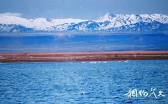 阿克塞蘇干湖候鳥自然保護區旅遊攻略之小蘇干湖