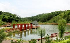 广东神光山国家森林公园旅游攻略之南山湖