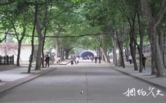 中國地質大學（武漢）校園概況之林蔭大道