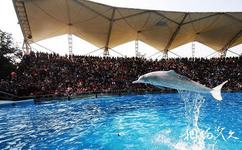 南宁动物园旅游攻略之海豚表演馆