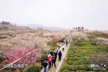 南京傅家边科技园-傅家边梅花节照片