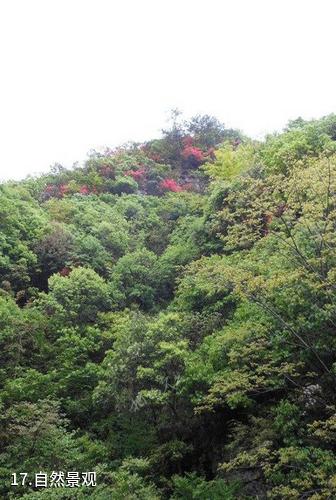 遂宁蓬溪高峰山-自然景观照片