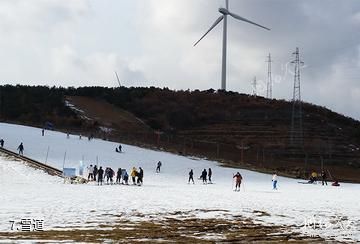 威海文登山泰生态园-雪道照片