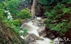 洛阳龙峪湾国家森林公园旅游攻略之护萱石
