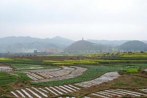 貴州六盤水六枝特郎岱旅遊攻略-郎岱鎮景點排行榜