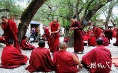 西藏拉薩色拉寺旅遊攻略之辯經