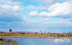 长春北湖湿地公园旅游攻略之湖心岛