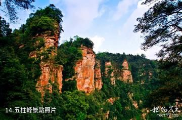 遵義赤水丹霞旅遊區-五柱峰照片