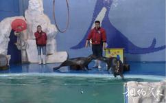 福州左海公园旅游攻略之海豹表演