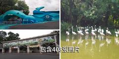 廣州動物園驢友相冊