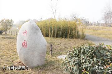 西安周至秦嶺國家植物園-竹園照片