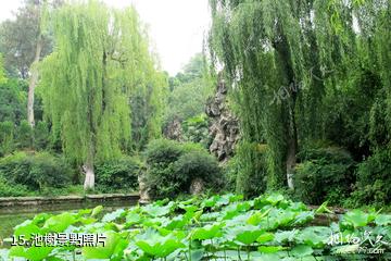 成都望叢祠景區-池榭照片