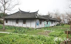 上海中國農民畫村旅遊攻略之菜園人家