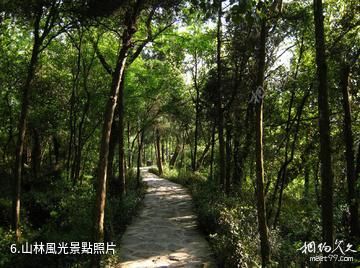 海寧西山公園-山林風光照片