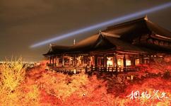 日本清水寺旅游攻略之成就园