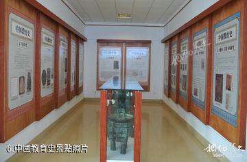 青島濱海學院世界動物標本藝術館-中國教育史照片