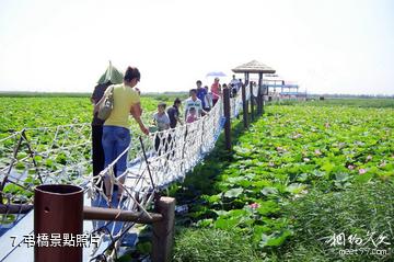 大慶黑魚湖生態景區-弔橋照片