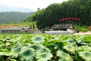 福建龍岩新羅東肖旅遊攻略-東肖街道景點排行榜