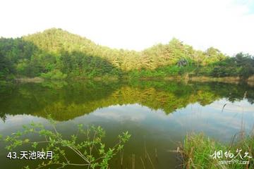 岳西妙道山风景区-天池映月照片