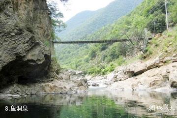 陕西黑河国家森林公园-鱼洞泉照片